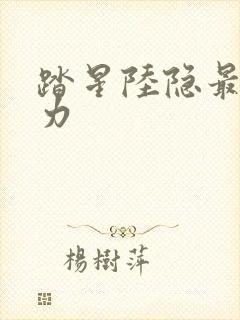 踏星陆隐最终实力