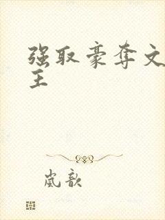 强取豪夺文双男主