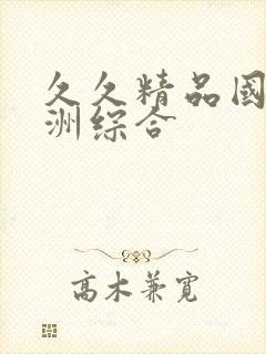 久久精品国产亚洲综合