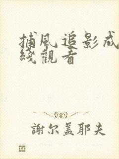 捕风追影成龙在线观看