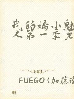 我的娇小魅魔仆人第一季免费观看封面