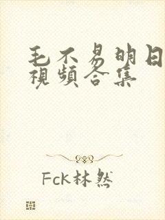 毛不易明日之子视频合集