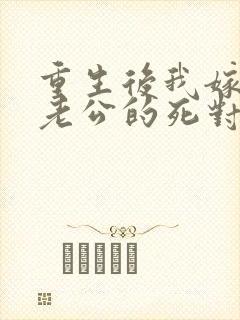 重生后我嫁给了老公的死对头 短剧