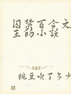 囚禁百合文双女主的小说