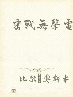 密战无声电视剧