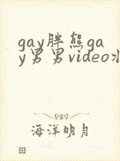 gay胖熊gay男男video壮熊gay