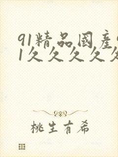 91精品国产91久久久久久丝袜