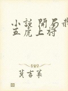 小说 开局截胡五虎上将