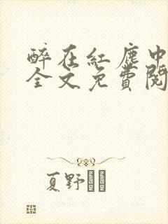 醉在红尘中小说全文免费阅读封面