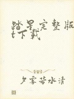 踏星完整版txt下载