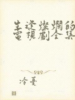 生逢灿烂的日子电视剧全集免费观看封面