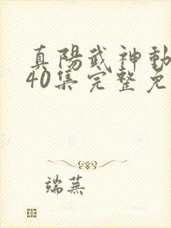 真阳武神动漫第40集完整免费观看