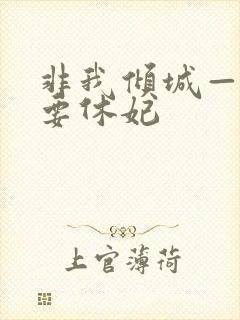 非我倾城—王爷要休妃