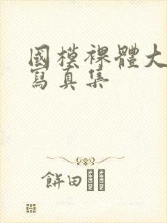 国模裸体大尺度写真集