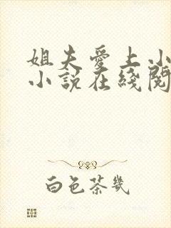 姐夫爱上小姨的小说在线阅读封面