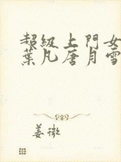 超级上门女婿 叶凡唐月雪小说免费阅读封面