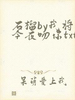 石榴by我将在今夜吻你txt封面