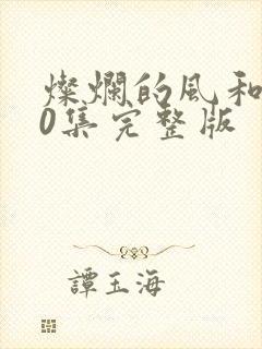 灿烂的风和海40集完整版封面