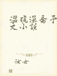 温砚深乔予安全文小说封面