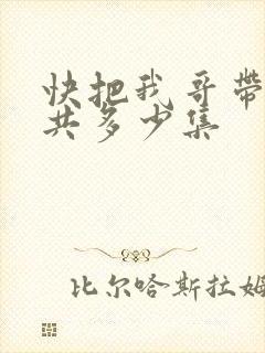快把我哥带走一共多少集封面