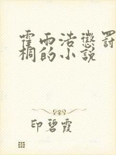 霍雨浩惩罚唐舞桐的小说封面