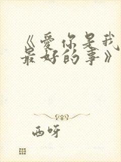 《爱你是我做过最好的事》小说