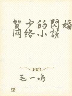 贺少的闪婚暖妻网络小说