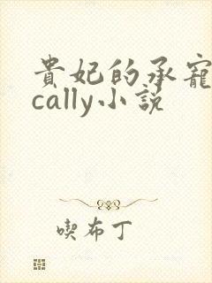 贵妃的承宠日常cally小说