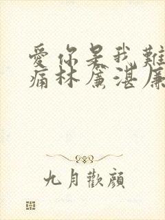 爱你是我难言的痛林帘湛廉时