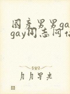 国产男男gaygay同志网站