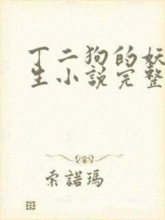 丁二狗的妖孽人生小说完整版