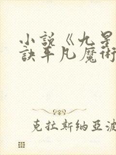 小说《九星霸体诀平凡魔术师》封面