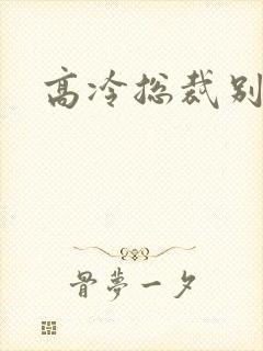 高冷总裁别太坏