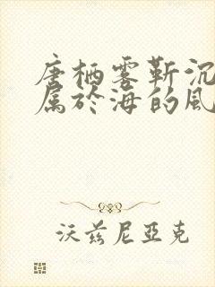 唐栖雾靳沉野不属于海的风的小说