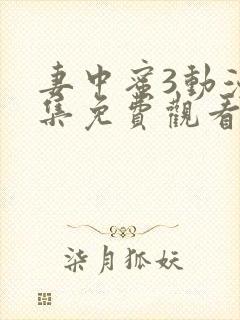 妻中蜜3动漫全集免费观看