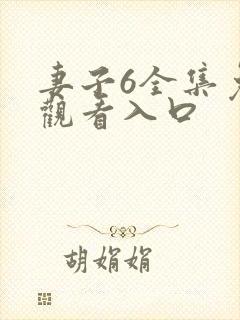 妻子6全集免费观看入口