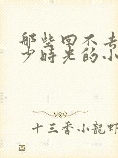 那些回不去的年少时光的小说