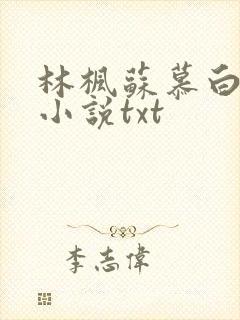 林枫苏慕白穿越小说txt