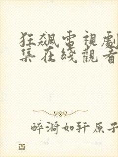 狂飙电视剧40集在线观看免费播放