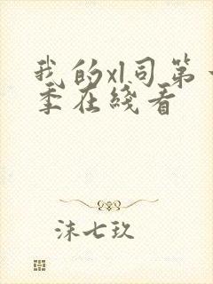 我的xl司第一季在线看