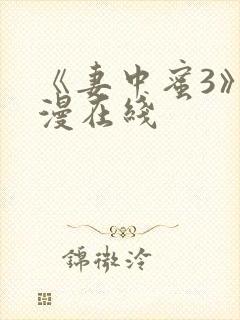 《妻中蜜3》动漫在线封面