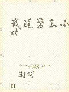 武道医王小妖txt封面