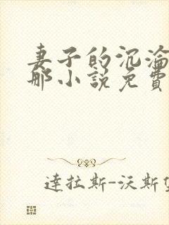 妻子的沉沦之路那小说免费阅读