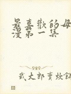 最喜欢的母亲动漫第一集