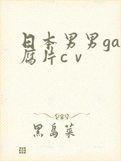 日本男男gay腐片cⅴ