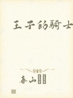 王子的骑士小说