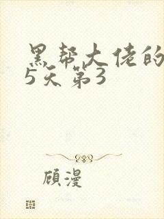 黑帮大佬的365天第3封面