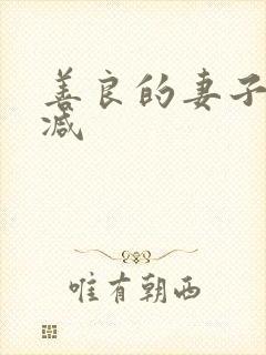 善良的妻子未删减