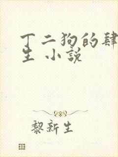 丁二狗的肆意人生 小说