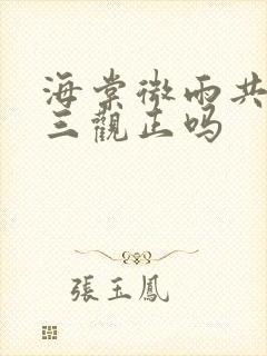 海棠微雨共归途三观正吗封面